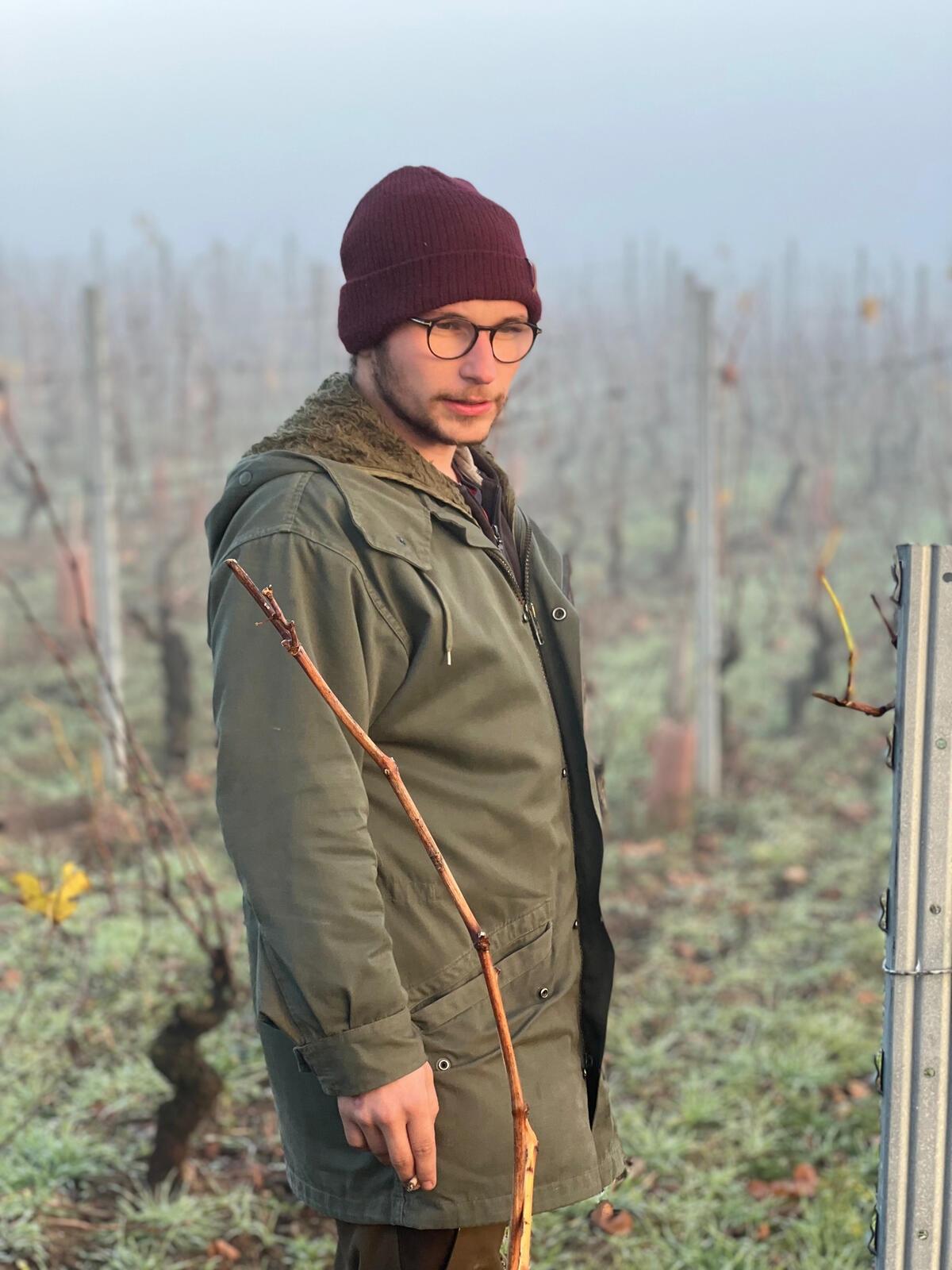 UVA_WINEWALL